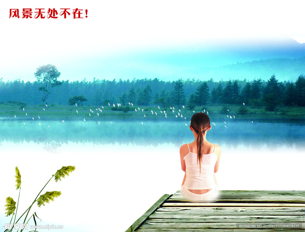 风景