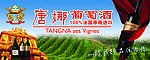 唐娜葡萄酒