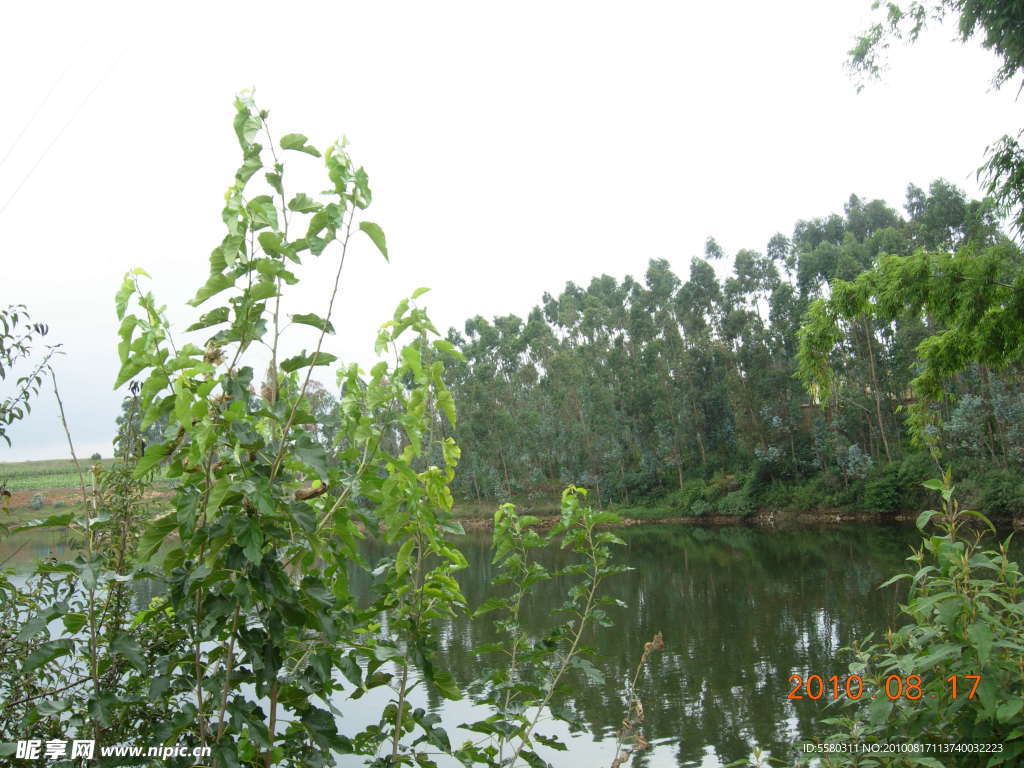 风景