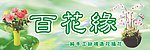 百花缘