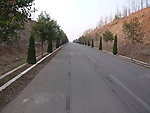 公路 公路风景 风景 树木