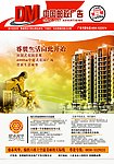 杂志