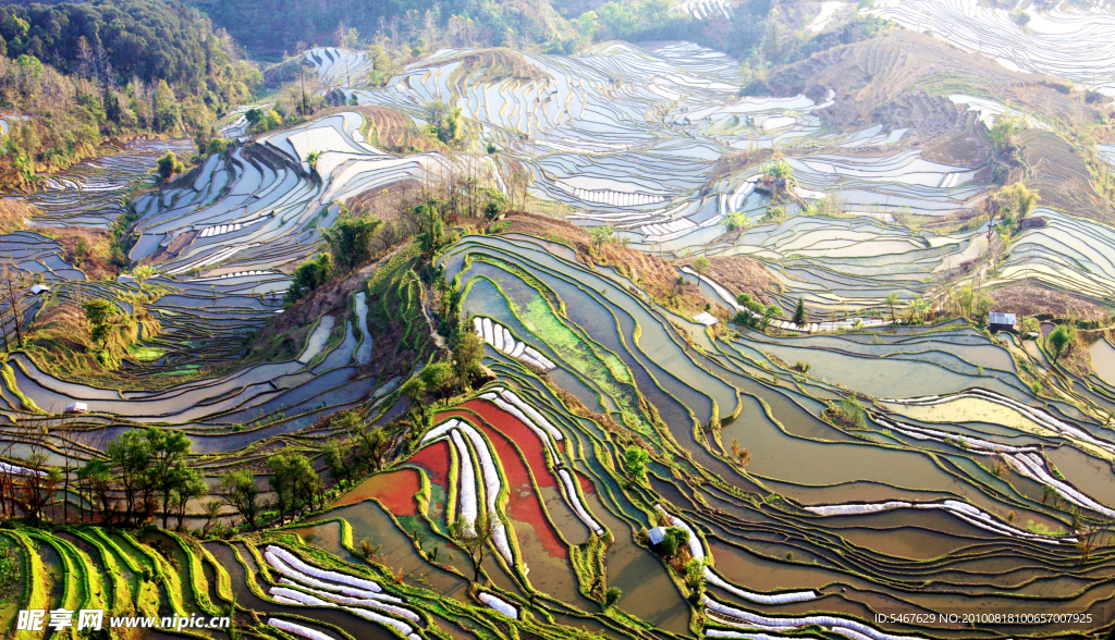 云南梯田