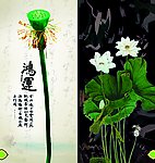 经典简约地产楼书