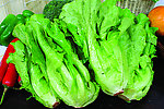 生菜