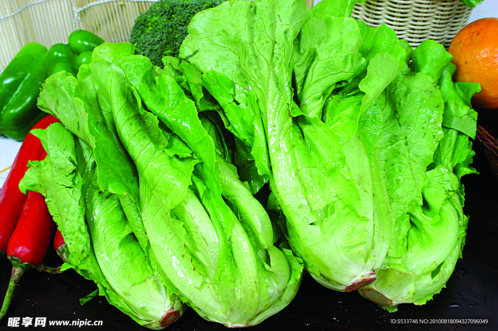 生菜