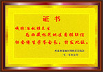 铜牌