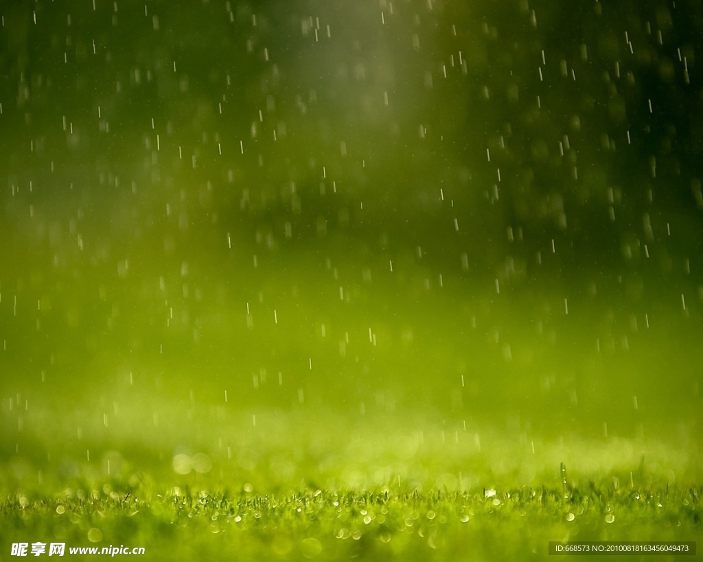 春雨