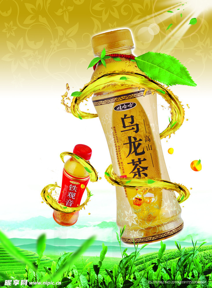 乌龙 茶 铁观音