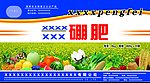 化肥 硼肥 桶贴