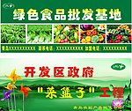 绿色食品批发基地