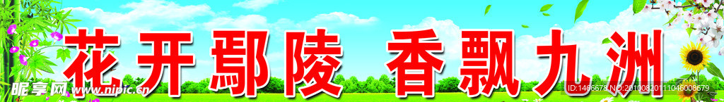 花卉宣传标语
