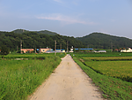 田野小路