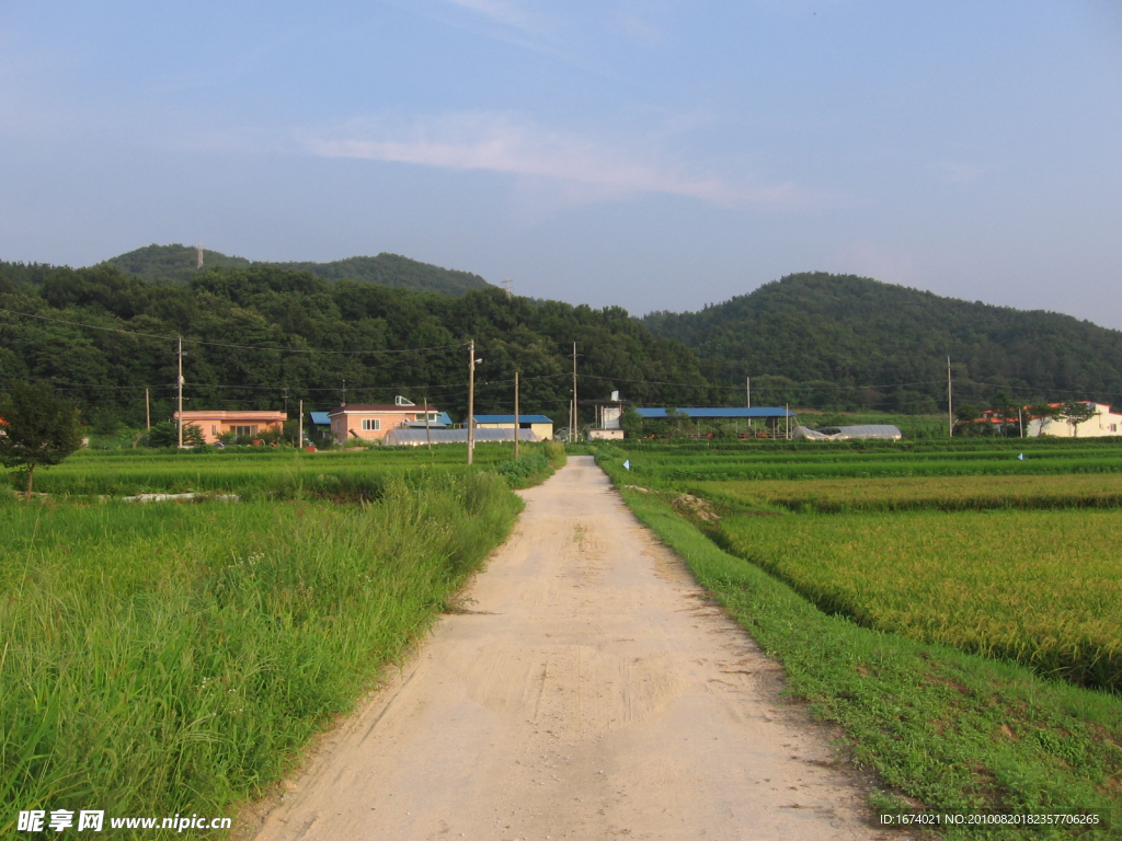 田野小路