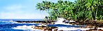 海滩椰树林风景广告素材