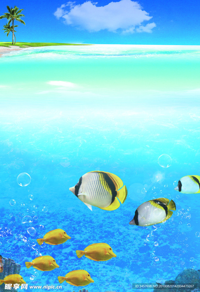 海洋背景