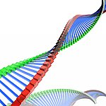 生物DNA双螺旋结构模型