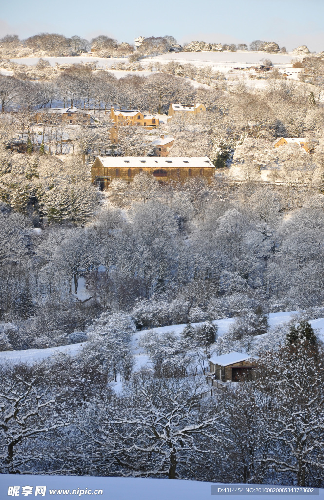 雪景