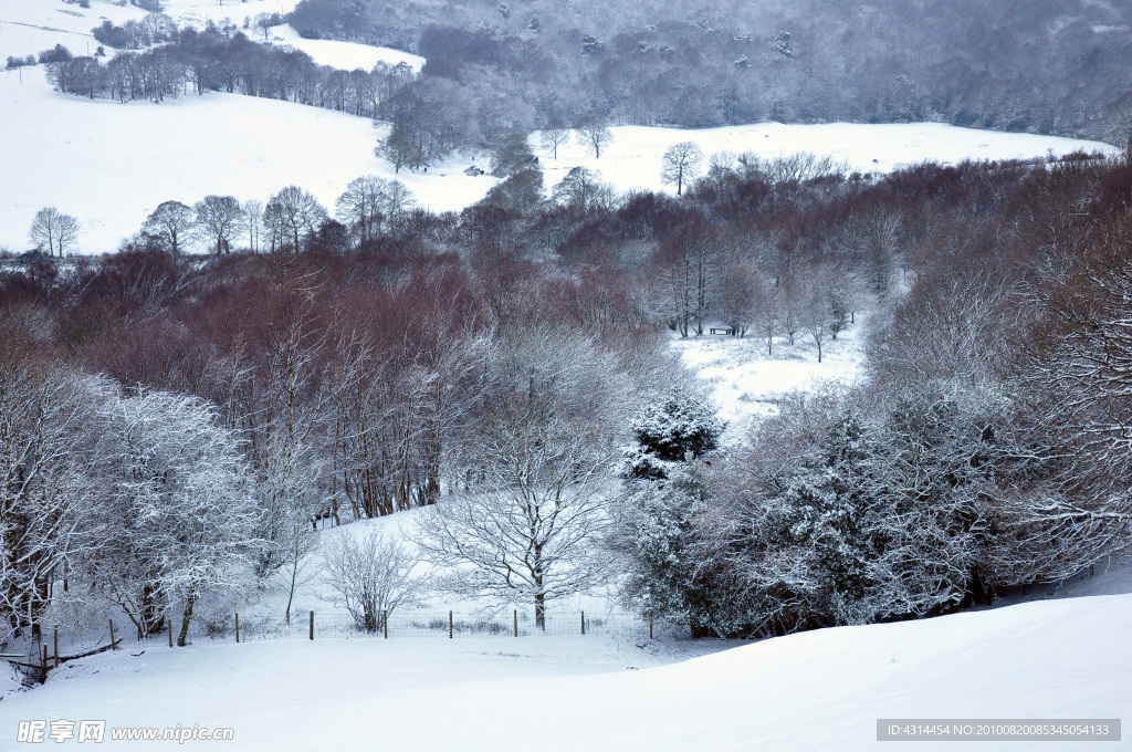 雪景