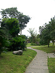 风景小道