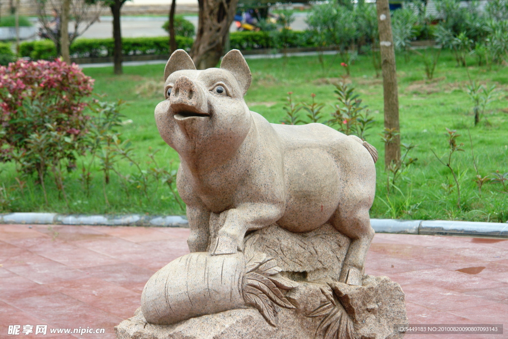 猪石雕