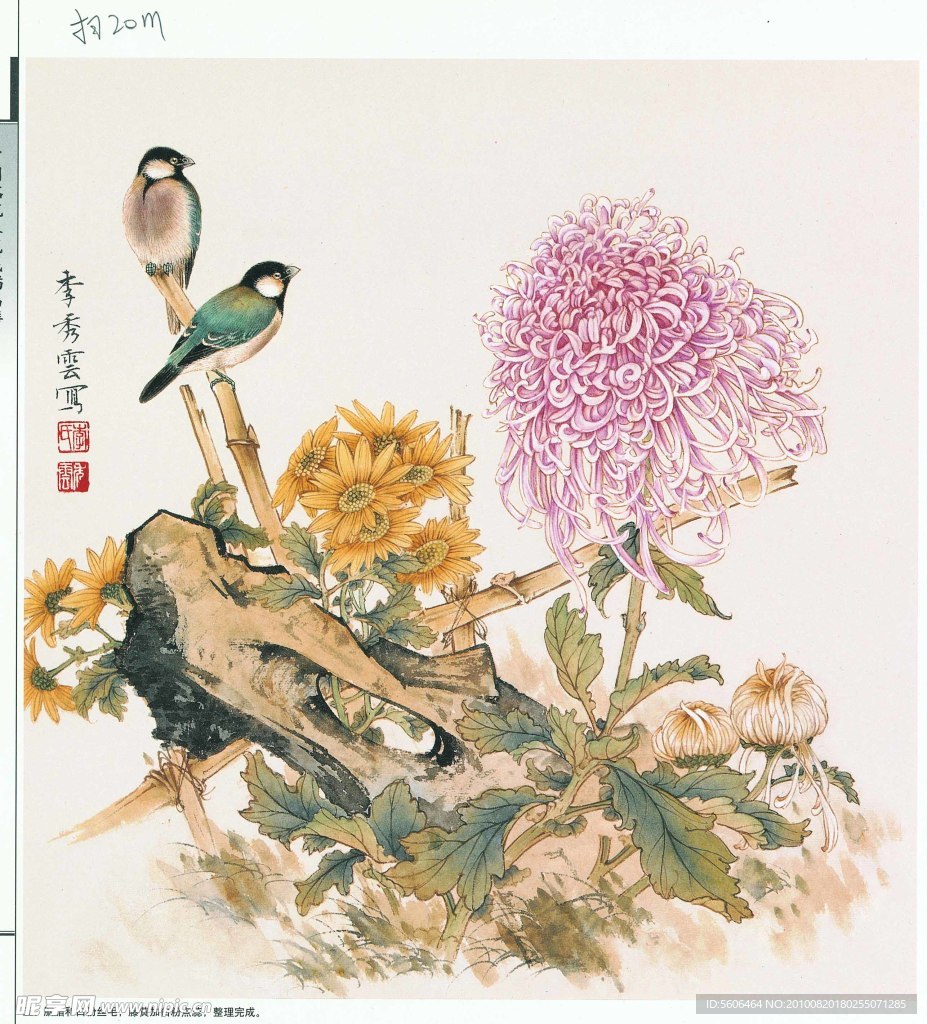 国画 花鸟 菊花