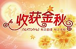 收获金秋