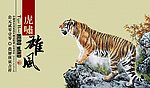 虎啸雄风 台历封面