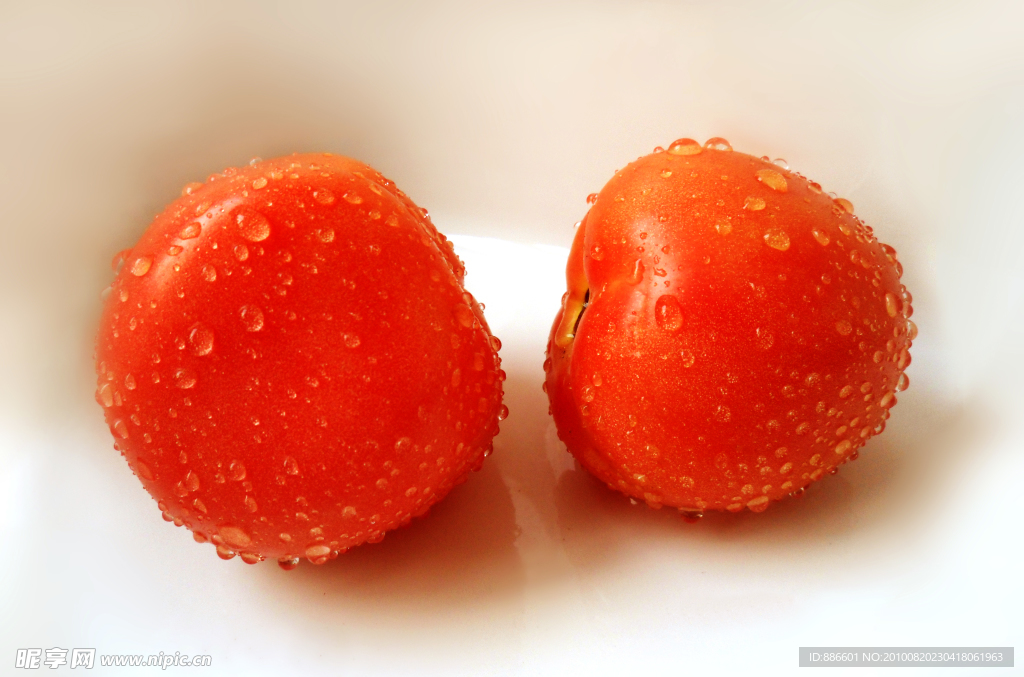 沾满水露的西红柿