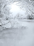 雪景