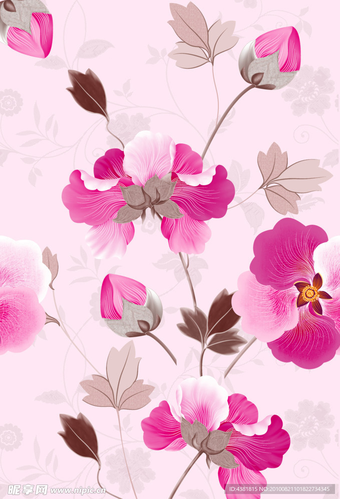 粉红色花朵