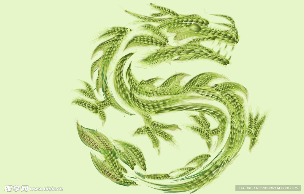 麦子 龙