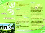 瑜伽三折页
