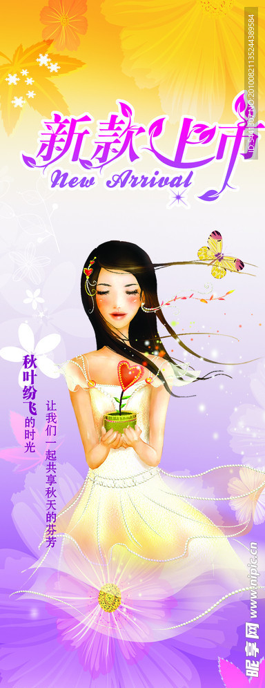 新款上市