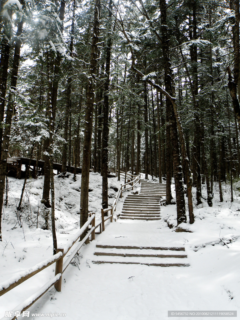 覆雪山径