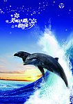 海豚表演