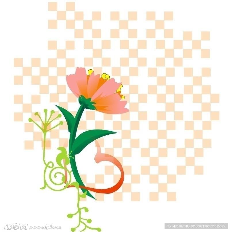 方格 花
