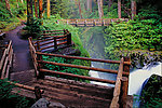 山间小溪流水