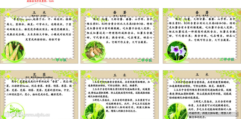 植物简介