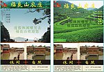 农庄茶庄