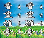 蓝天草地