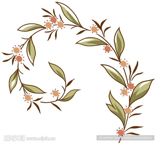 花边花纹