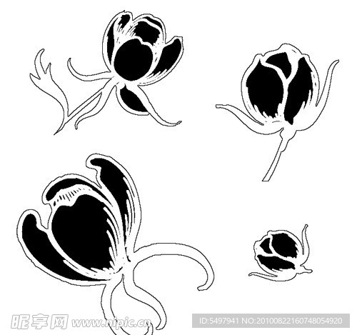 花边花纹