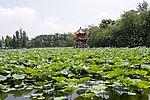 公园一角