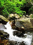 森林公园
