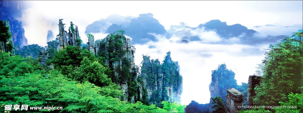 风景