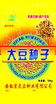 大豆种子