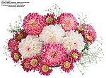 花束
