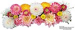 花束