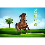 马到成功